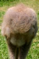 Blue White Black - 12th June 2014 Blue White Black - 12th June 2014